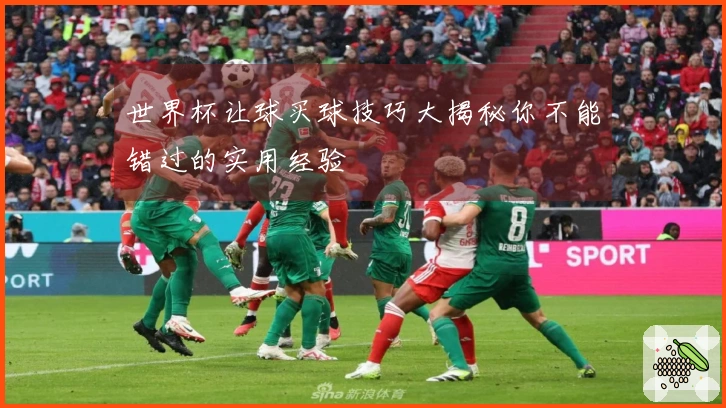 世界杯让球买球技巧大揭秘你不能错过的实用经验