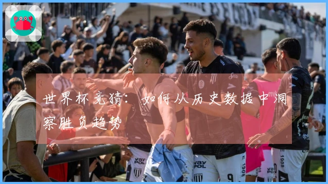 世界杯竞猜：如何从历史数据中洞察胜负趋势