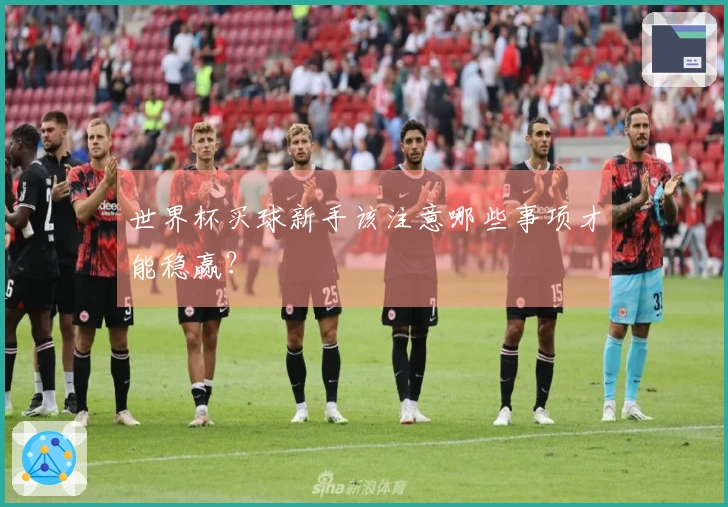 世界杯买球新手该注意哪些事项才能稳赢？