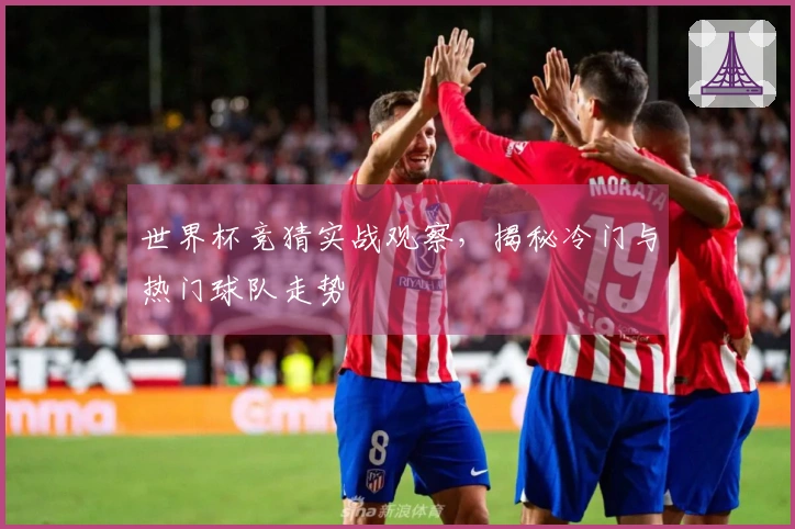 世界杯竞猜实战观察，揭秘冷门与热门球队走势