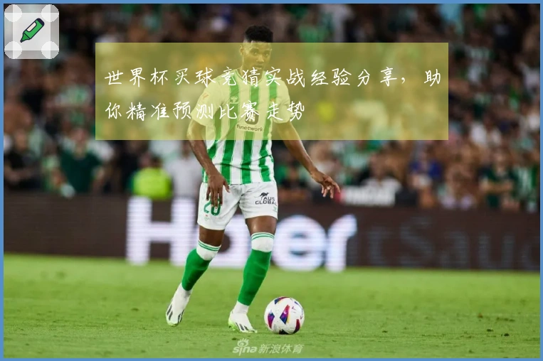 世界杯买球竞猜实战经验分享，助你精准预测比赛走势