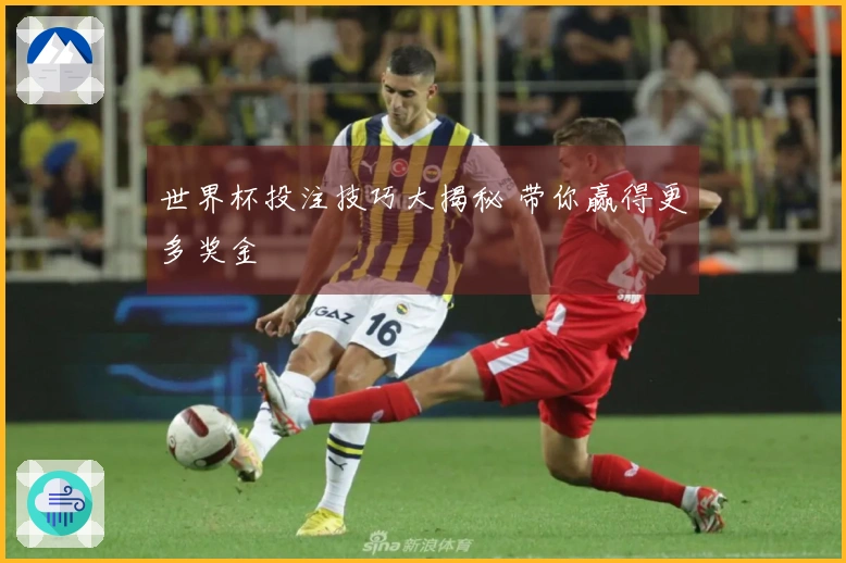 世界杯投注技巧大揭秘 带你赢得更多奖金