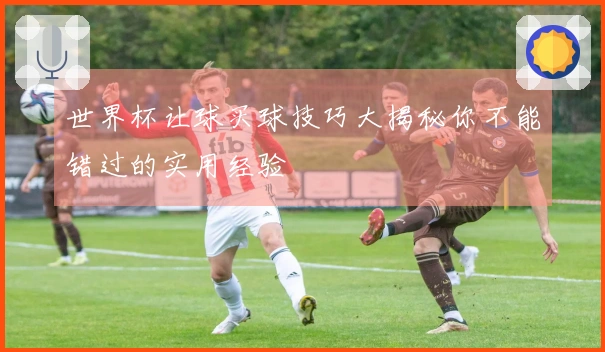 世界杯让球买球技巧大揭秘你不能错过的实用经验
