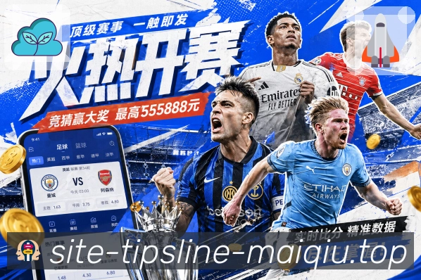 奖项证书